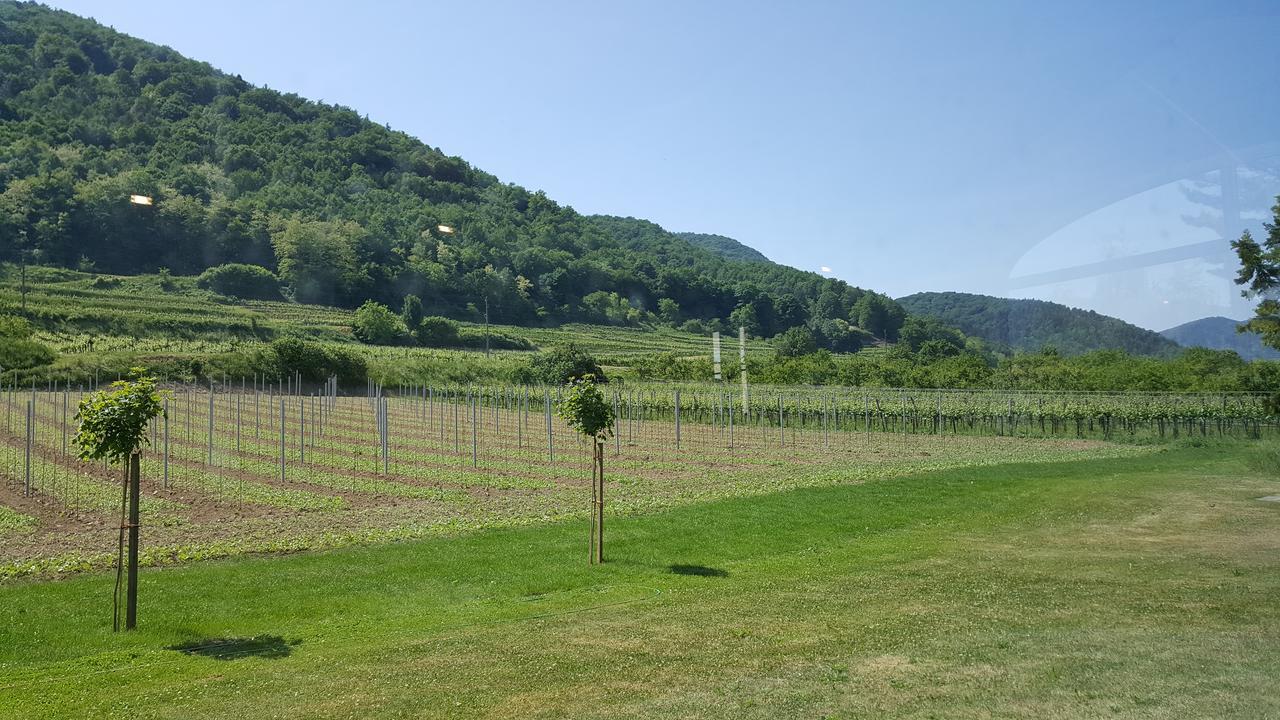 Gasthof Zur Wachau Hofarnsdorf Екстериор снимка